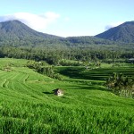 Jatiluwih - Bali “truly marvelous” landscape