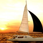 The Waka