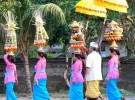 Beloved Bali