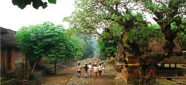 tenganan bali age village