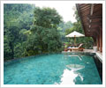 ayung resort ubud - Superior room - Pool