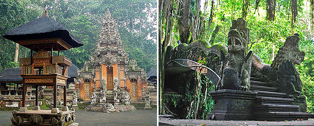 monkey forest ubud