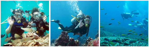 Bali dive nusa dua